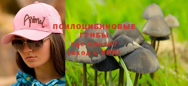 спайс Алзамай