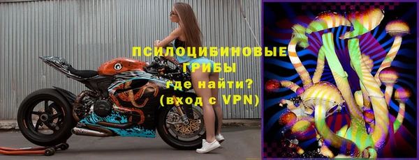 спайс Алзамай