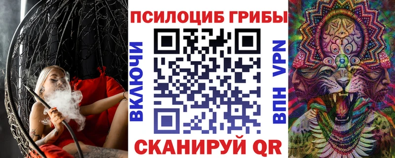 Купить  Оха  Галлюциногенные грибы Cubensis 